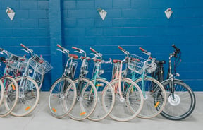 Bikes lined up in a row at Action Bicycle Club in Christchurch.