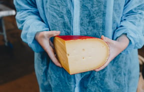 A worker holding a large slice of cheese at Barrys Bay Cheese, Akaroa.