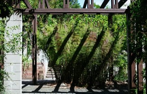Wooden archway casting shadow on bushes.
