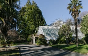 The old greenhouse in the centre of the Christchurch botanical gardens is surrounded by tall green trees.