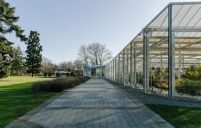 A big glass house filled with rows of plants.