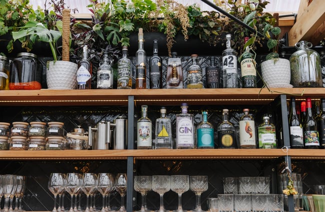 Shelves with spirits and plants at Arbour in Lyttelton.