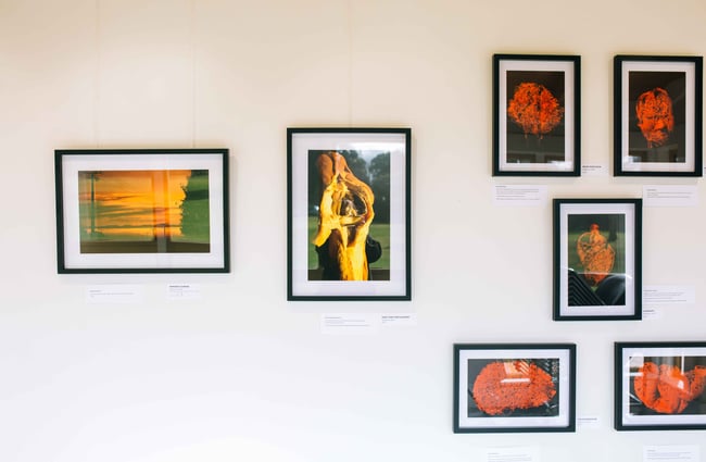Close up of framed photographs on a wall.