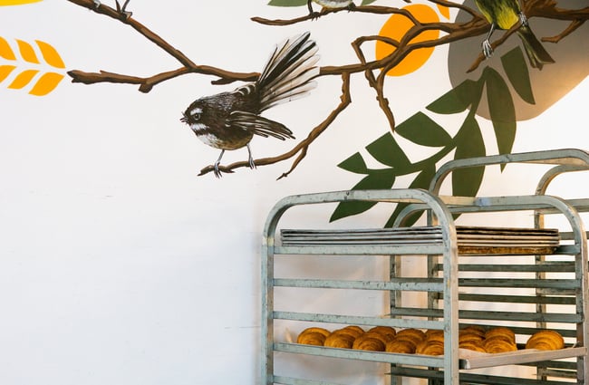 Fresh croissants sit on a rack against a wall painted with a pīwakawaka fantail at Bellbird Bakery in Christchurch.