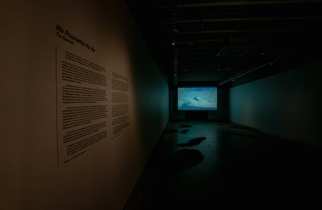 Inside a dark gallery space in CoCA with a film playing on a screen at the back of the room.