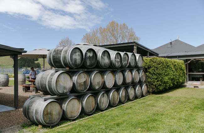 Barrels of wine lined up on the grass outside Greystone Wines Waiapra, North Canterbury.