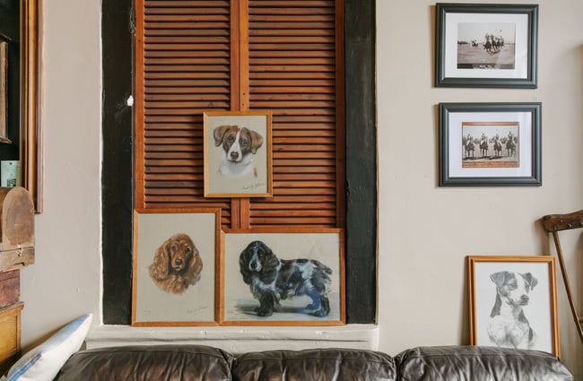 Framed pictures of dogs on a wall at Hector Black's in Timaru.