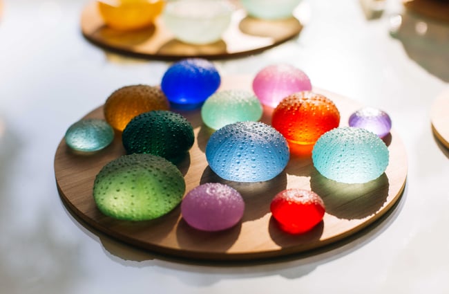 Colourful glass kina shells at Kina NZ Design + Artspace, New Plymouth.