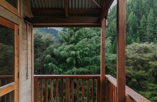 A view of the bush from the balcony at Maitai Whare Iti.
