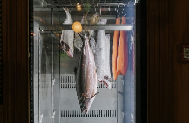 Whole fish hanging from inside a fridge.