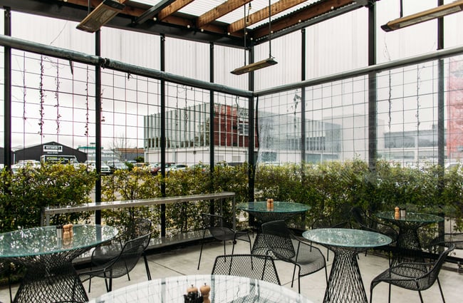 The enclosed outdoor seating area of Opera Kitchen surrounded by plants.