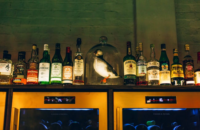 Shelf of spirits with a puffin on top in a glass dome.