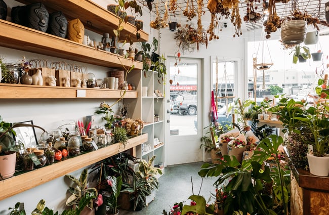 Flowers and plants inside a bright and sunny shop.