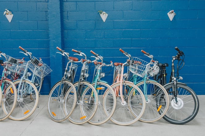 Eight bikes lined up against dark blue brick walls at Action Bicycle.