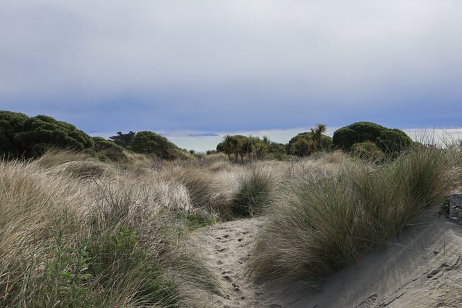 The Southshore Spit Reserve in New Brighton on a cloudy day.