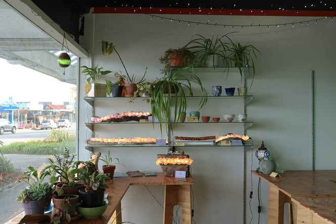 Plants, ceramics and twinkling lights on display on floating shelves inside the window at The Grotto New Brighton.