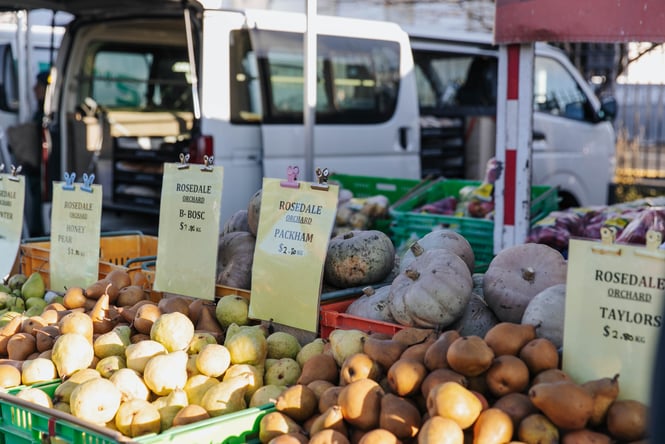 Vegetables on display at Otago Farmers Market.