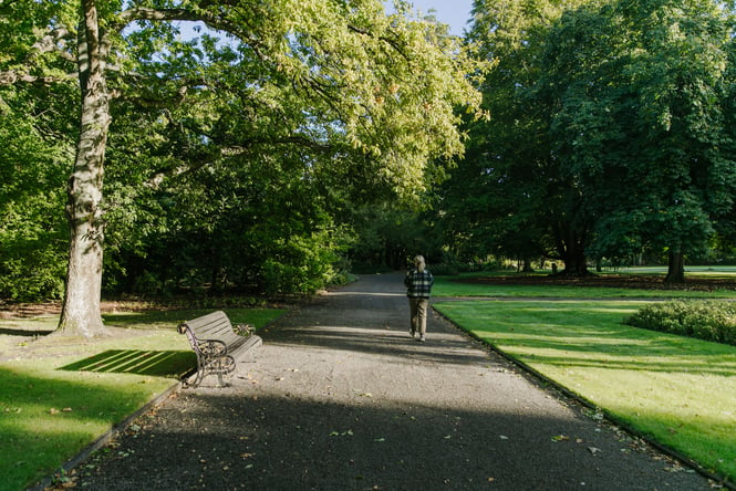A woman walking down a path under trees in a sunny day.