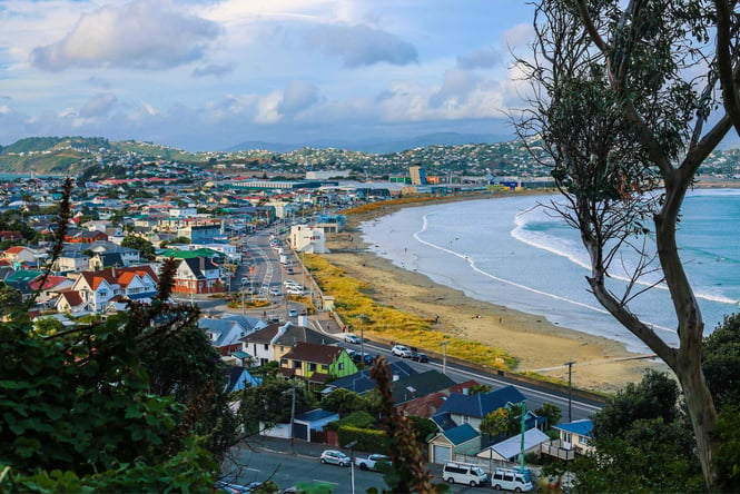 A view of Lyall Bay from above.