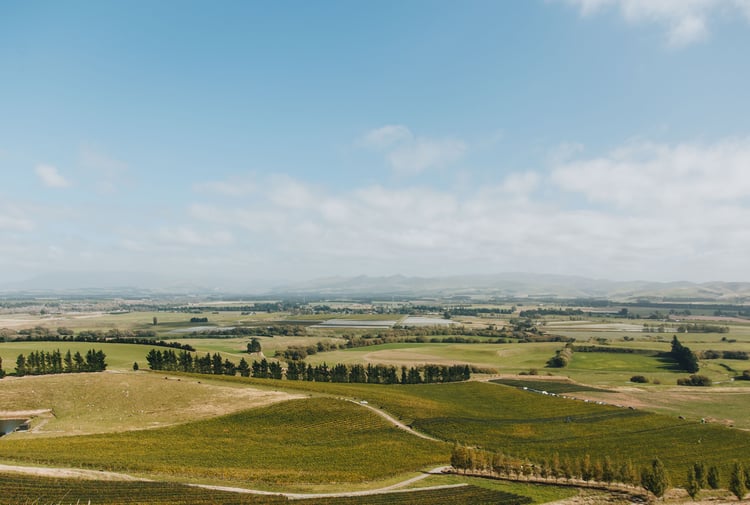 A view of the Canterbury plains on a sunny day.