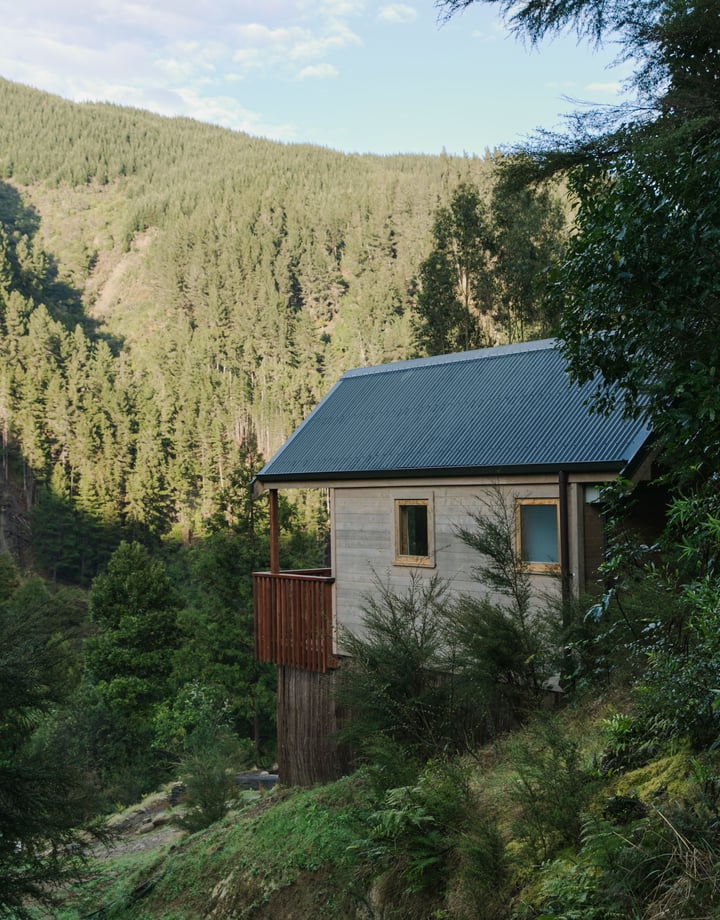 A view of Maitai Whare Iti cabins nestled within native bush in Nelson.