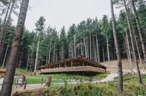 A wooden building nestled amongst tall pine trees.