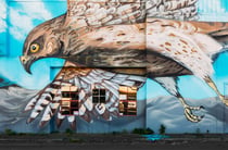 A large falcon mural painted on a wall.