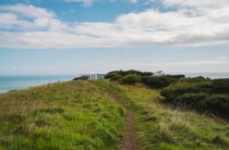Lush and green Te Toto Gorge Lookout in Raglan New Zealand