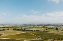 A view of the Canterbury plains on a sunny day.