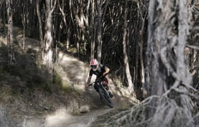Man riding downhill through forest at Middle Hill MTB.