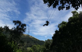 A person swinging on a swing over a forested gorge.