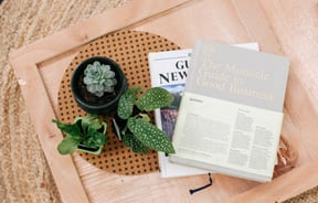 Books and plants on a small side table at Action Bicycle Club in Christchurch.