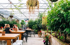 Wooden tables and hanging pot plants.