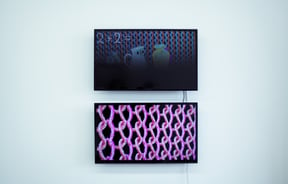 Two pieces of artwork next to each other on a white wall.