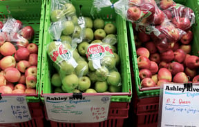 Apples for sale at Christchurch Farmers Market.