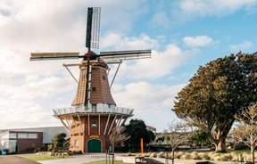 The windmill of De Molen next to a large tree.