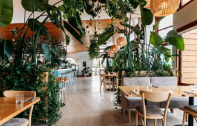 Dining space at Del Mar in Ōamaru overrun by huge plants