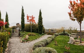 Garden setting outside at Domaine-Thomson Wines Cellar Door.