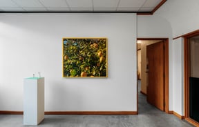 Large exhibition on the gallery wall at Jhana Millers Gallery.