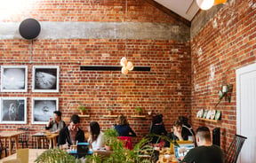 Interior of Little Bird Unbakery.