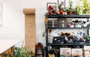 Plants and fabrics on shelves at Masami Clothing Gisborne.