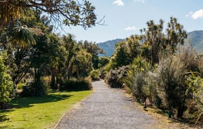 Pathway in Ngā Manu bordered by trees and greenery either side and mountains in the background.