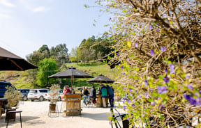 People drinking coffee together under umbrellas at Red Bridge Coffee with green hill in the background