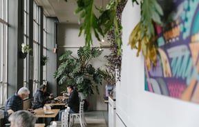 Seating area in Vanguard with big monstera plant.