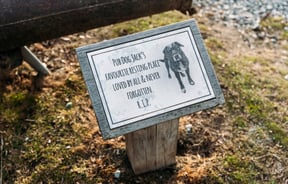 A plaque dedicated to a dog.