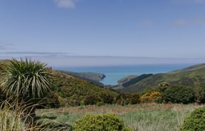 Native bush in the hills of Hinewai Reserve overlooking the Akaroa Harbour