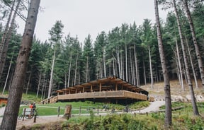A wooden building nestled amongst tall pine trees.