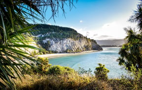 Canoe Beach in Dunedin on a sunny day.