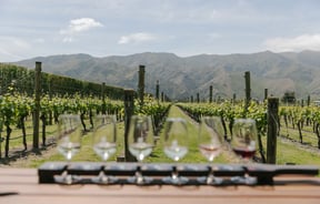 Wine glass paddle at River-T Estate Wines with a view of the vines.