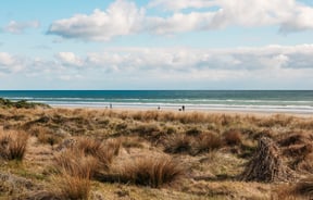 People on the sand beside the water at Paraparaumu Beach.